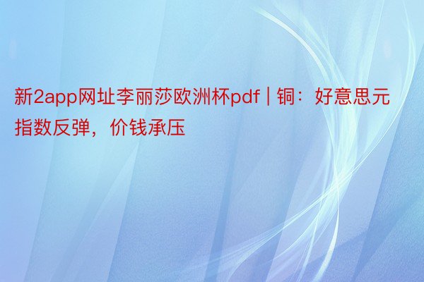 新2app网址李丽莎欧洲杯pdf | 铜：好意思元指数反弹，价钱承压