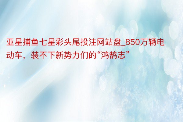 亚星捕鱼七星彩头尾投注网站盘_850万辆电动车，装不下新势力们的“鸿鹄志”