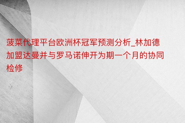 菠菜代理平台欧洲杯冠军预测分析_林加德加盟达曼并与罗马诺伸开为期一个月的协同检修