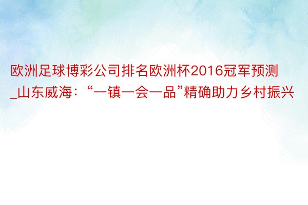 欧洲足球博彩公司排名欧洲杯2016冠军预测_山东威海：“一镇一会一品”精确助力乡村振兴