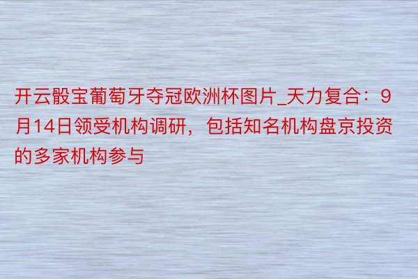 开云骰宝葡萄牙夺冠欧洲杯图片_天力复合:9月14日领受机构调研,包括知名机构盘京投资的多家机构参与